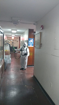 Electrostatic Disinfecting Hallway